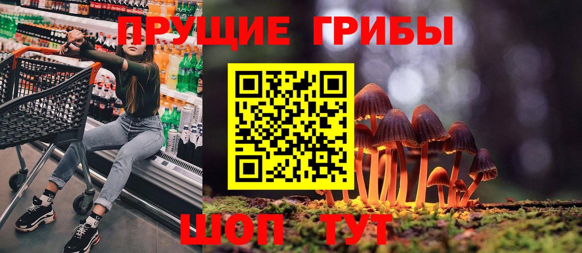 Дальнегорск  Псилоцибиновые грибы ЛСД  Вход с VPN 